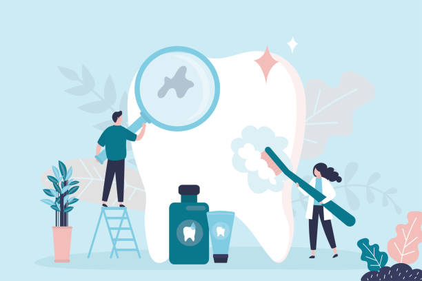  Cibolo, TX Holistic Dental Services Pros